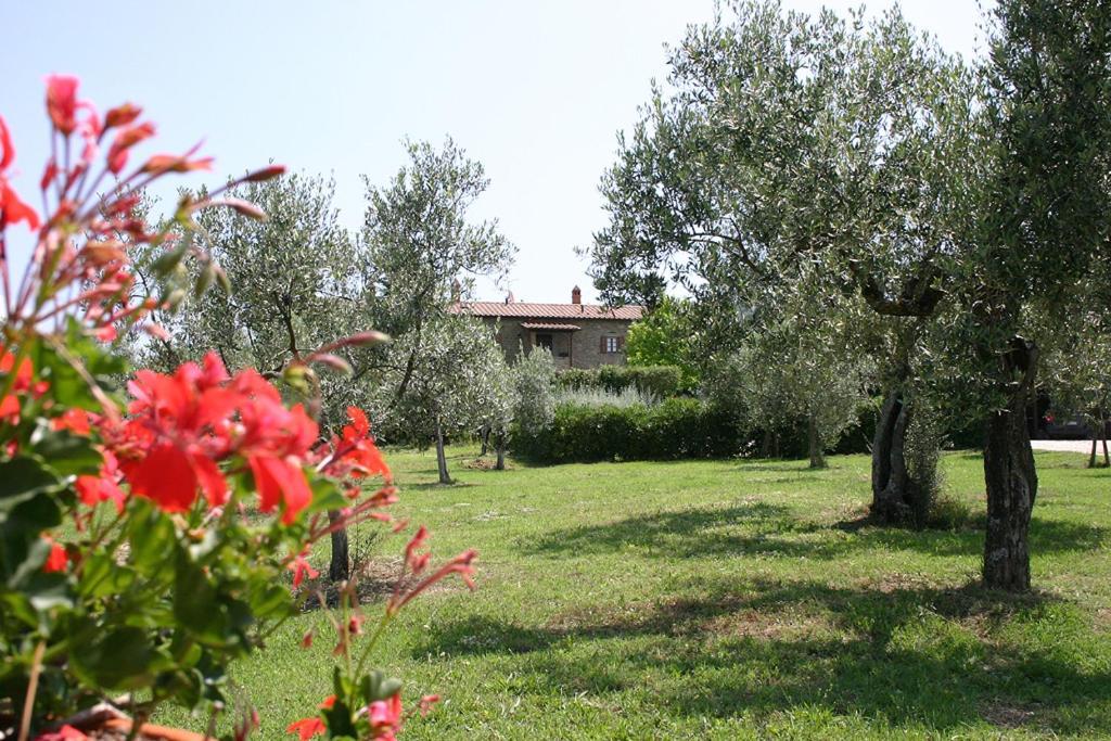 Agriturismo Cortoreggio Cortona Exterior photo
