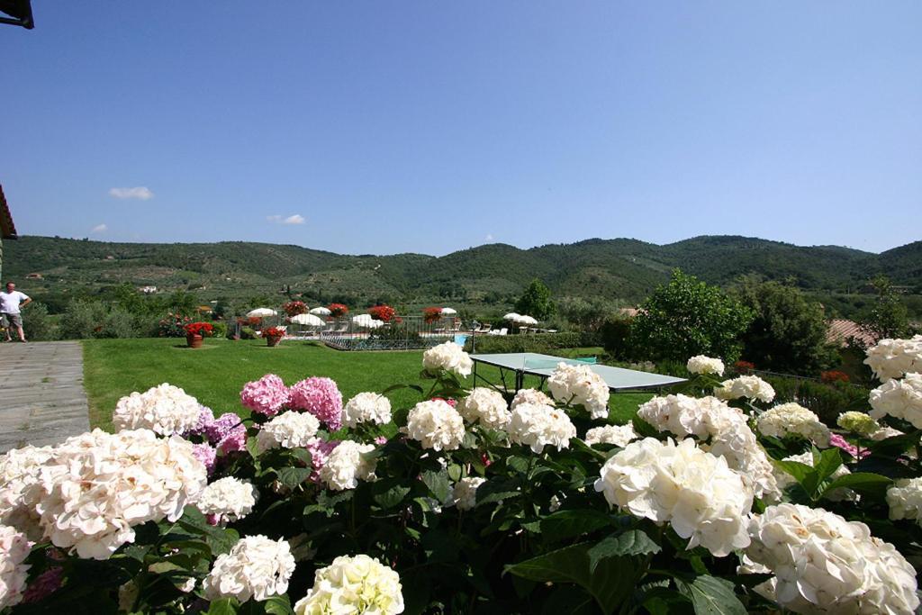 Agriturismo Cortoreggio Cortona Exterior photo